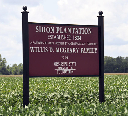 Sidon Plantation